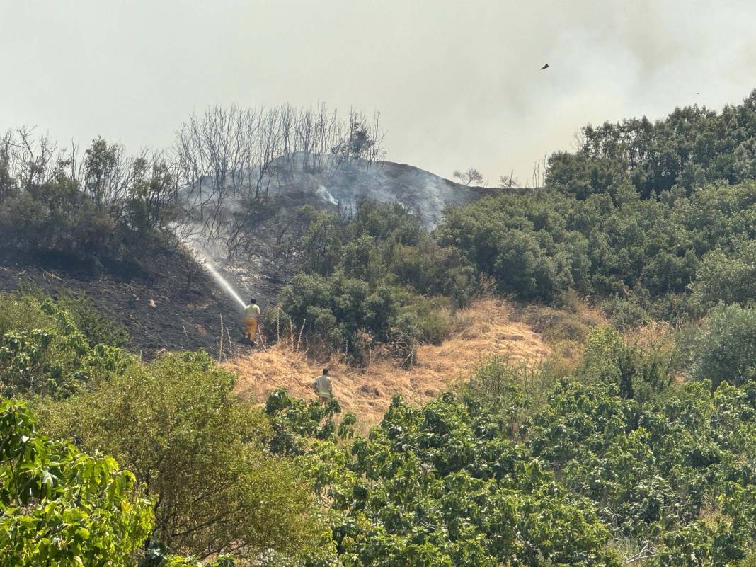 Manisa'da orman yangını 3